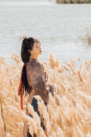 看电影电视剧好网站最新电影